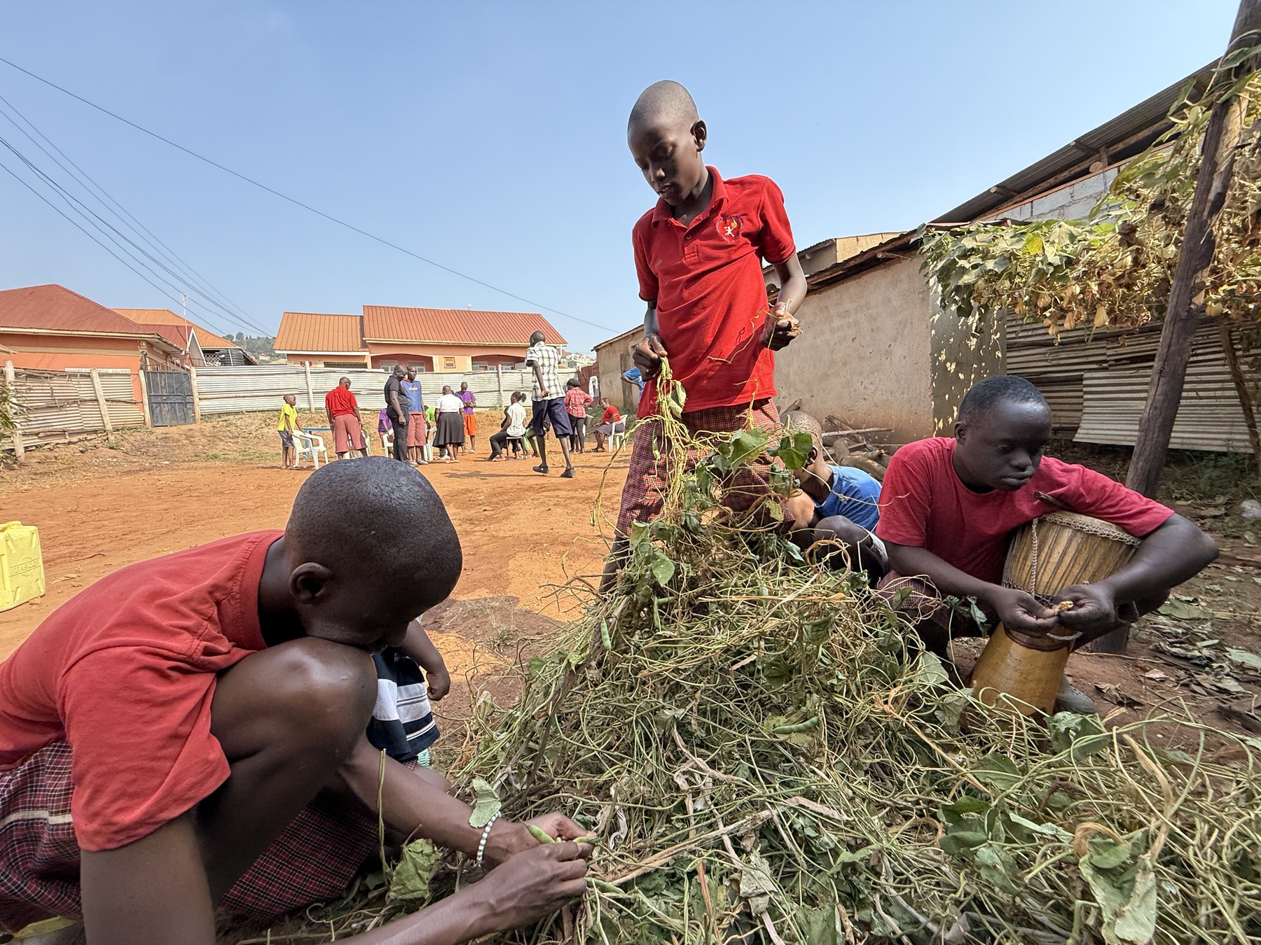 Children sorting produce as part of practical skills training
